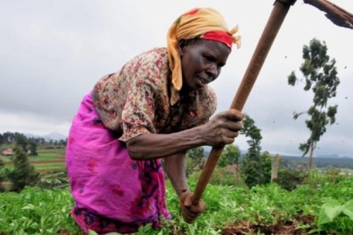 La BAD accorde 250 millions de dollars pour la transformation agricole